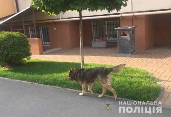  �������� ���� ���� �������� ����� ������ ����������� ��������� 