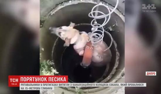  ������ �������� ��������� ������ ������� ���������� ����� �������� 