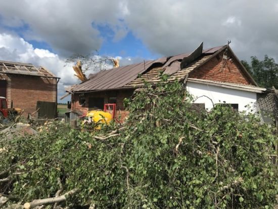  ����� ����� 100 