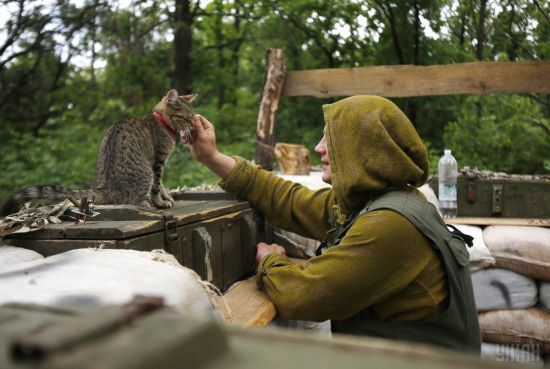  �������� ���������� ������ �������� ��� ������������ ������������� ����� 