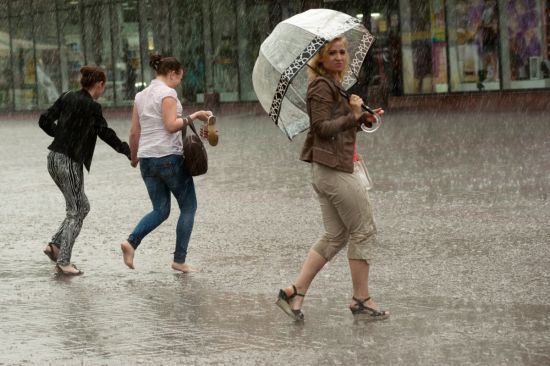  ���� ����� ����������� ���������� ����� �������� ����� ���������� 