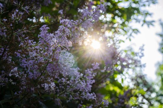  ����� ���� ����������� ��� 5-10 ��������������� ����� ���� 