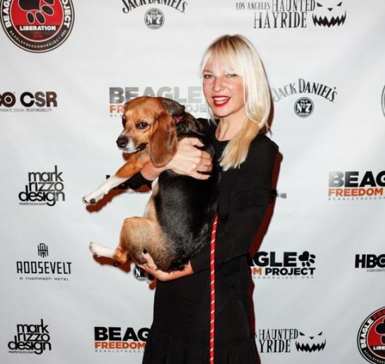  ������ ��������� ������ ���� sia 