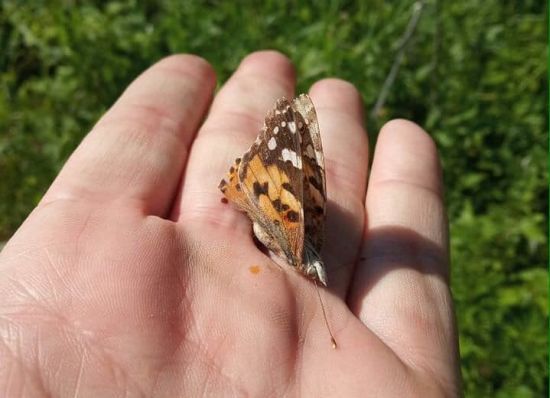  ���� ���������� ������� ��������� 