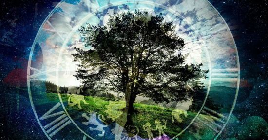  ���� ������ ���� ������ ����� ������� �������������� ������� 