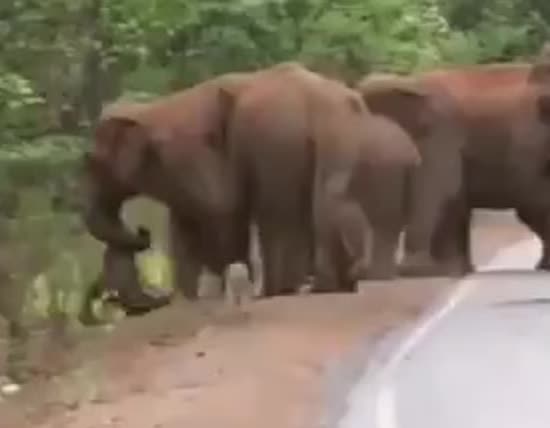  �������� ����� ������ 