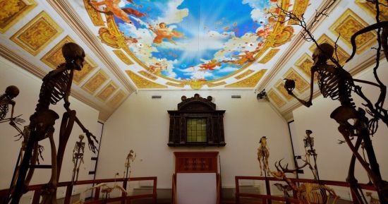  ����� ������� ��������� ����������� ������� ������������ ������ �������� 