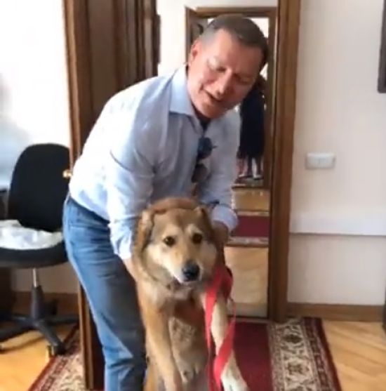  ������ ������ ����� ������ 