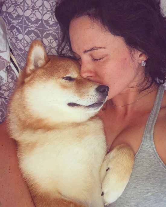  ���� ��������� ���������� ������������ �������� 