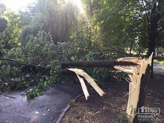  ����� �������� ������� ������������ �������� 170 ����� ���� 