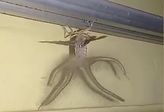  �������� ����� �������� ������ ������ 