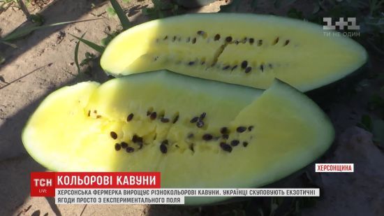  ������ ������ ������ ����� ������� ������� ���� ������ 