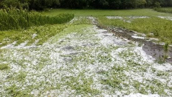  ������������� ���������� �������� ������ 