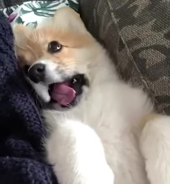  ������ ������� ��������� ��� ����� ��� ���������� ����� 