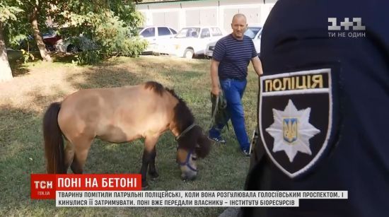  ����� ������������ ��������� ������� ��������� ���� 