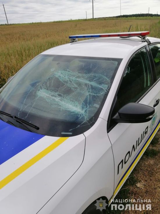  ������� ���� ����������� ������� 