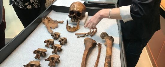  ����� �������� ������ ����������� 