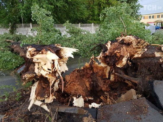  ������� ����� ������ ������� ����� ��������� ����� 