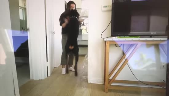  ���� ����� ������ ������ �������� 