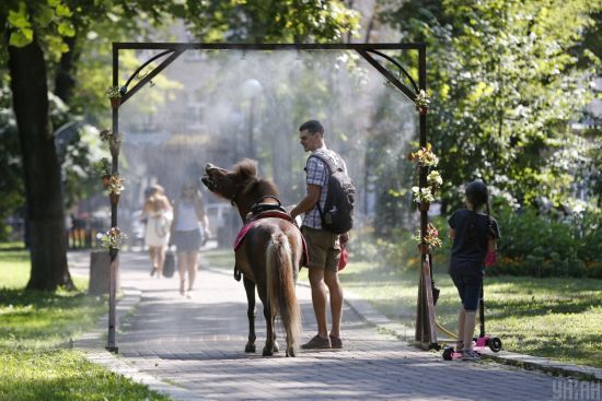  �������� ������� ���� 