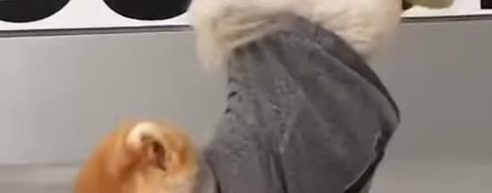  tiktok ����� �������� ������������� ����������� ������ ��������� ������� 