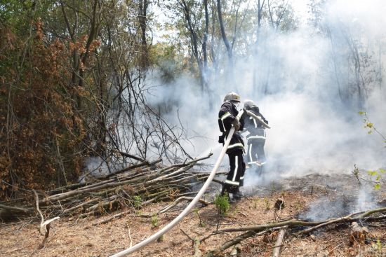  ����� ������� ������������ ������� ������ �������� ��������� 