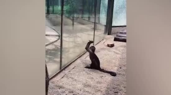  �������� ����� ����� �������� ������ ������� ���������� ���������� 