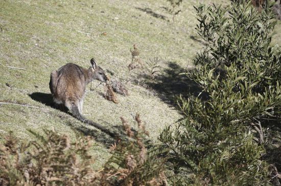  ������� ������� ��������� �������� 