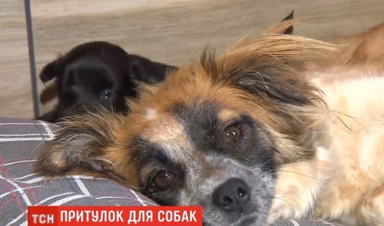  ����� ������� ����� ������� ������ 