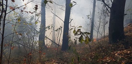  ������ ����� 100 ���������� 