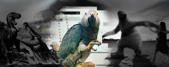 ����: ru.tsn.ua