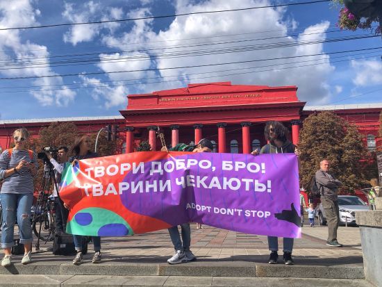  �������� ������� ����� ������ ������� ���� 