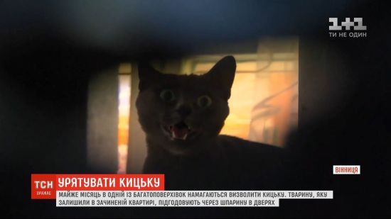  �������� ������ ����� ������� 