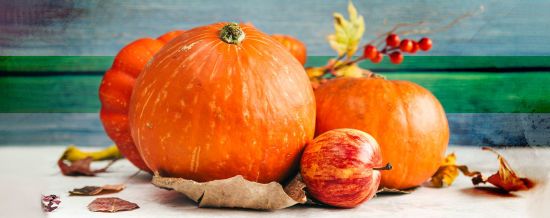  ��� �������� ����� ������ ������� 