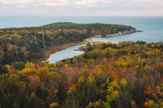  �������� ����������� ���� ������� 