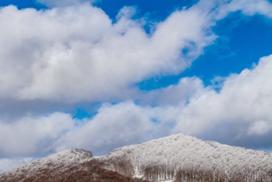  ��������� ������������ ������ ����� ����� �������� 