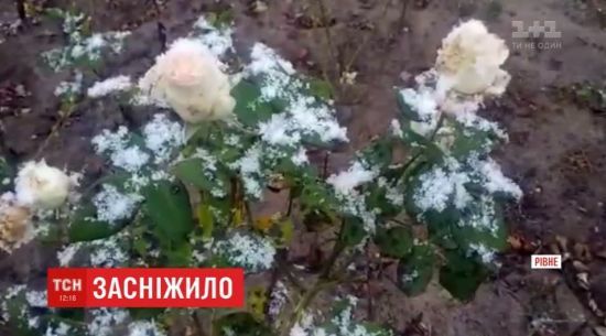  ���� ����� ��������� ������ 