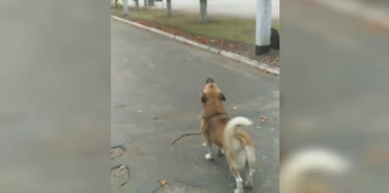  ���� ������� ������ 