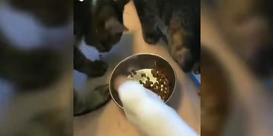  ����� ������� ������� ���������� ���� ��������� ��� ���� 