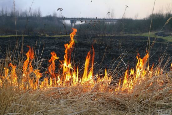  ������ �������� ������ ����� 