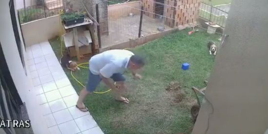  �������� ������� �������� ����������� ���� ������� ���������� ��������� 