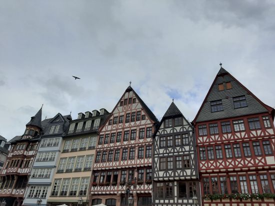  ����� ���� ������ ������� ��������� ������� ������� ������� 