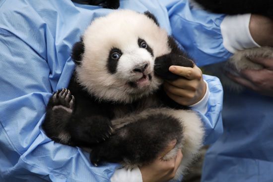  ����� ���� �������� ��� ���� 