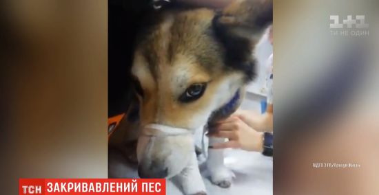  ������ �������� �������� �������� ����� ������� ������ 