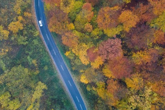  ������ ����� ���� 