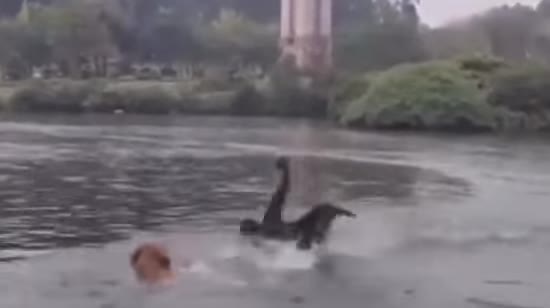  ����� ����� ������ ���� ������ ������ ����� 