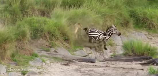  ����� ����� ����� �������� ���� �������� �����t �������� 