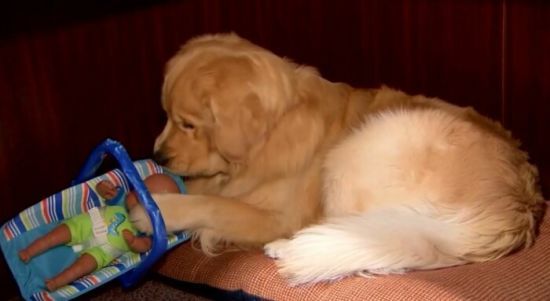  ��� ����������� ������� ��������� ��� ������� �������������� ������� 