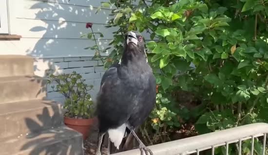 ����: ru.tsn.ua