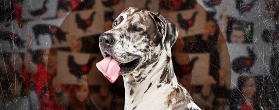 ����: ru.tsn.ua